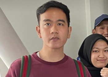 Denny Diduga Melakukan Makar, Karena Melawan Putusan MK