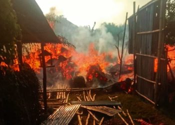 Diduga Berawal dari Bakaran Sampah, Kebakaran Terjadi di Weru Cirebon