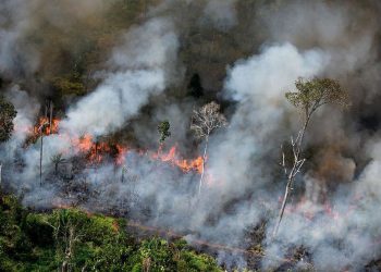 Karhutla di Riau: Luas Lahan Terbakar Capai 1.400 Ha, Tersangka dan Operasi Modifikasi Cuaca Diperkuat