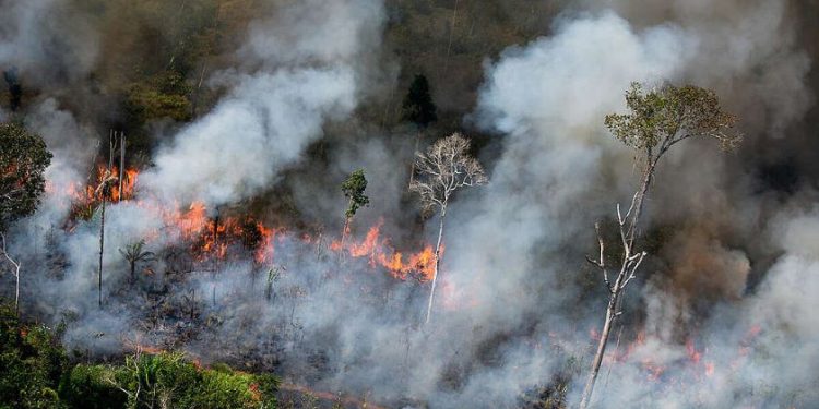 Karhutla di Riau: Luas Lahan Terbakar Capai 1.400 Ha, Tersangka dan Operasi Modifikasi Cuaca Diperkuat