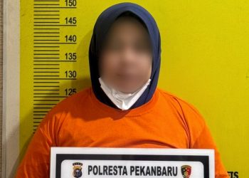 Direktur Properti di Pekanbaru Ditangkap Usai Tipu Pembeli Tanah Fiktif Rp 200 Juta