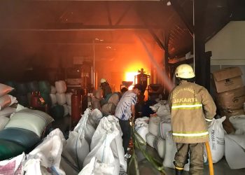 Si Jago Merah Mengamuk di Jakarta Timur, Rumah Warga Pisangan Baru Musnah