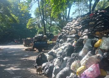 Darurat Sampah Bandung: Kuota Sarimukti Dipangkas, Tumpukan Sampah Memicu Bau Menyengat