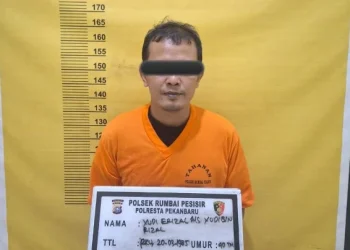 Tipu Teman Sendiri, Pria Berinisial YF di Rumbai Pesisir Dibekuk Polisi