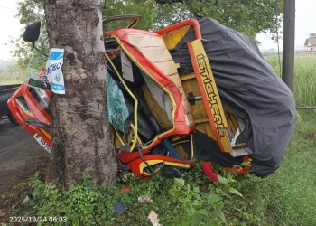 Kecelakaan Tunggal di Jombang: Truk Tabrak Pohon hingga Ringsek, Sopir dan Kernet Luka-luka
