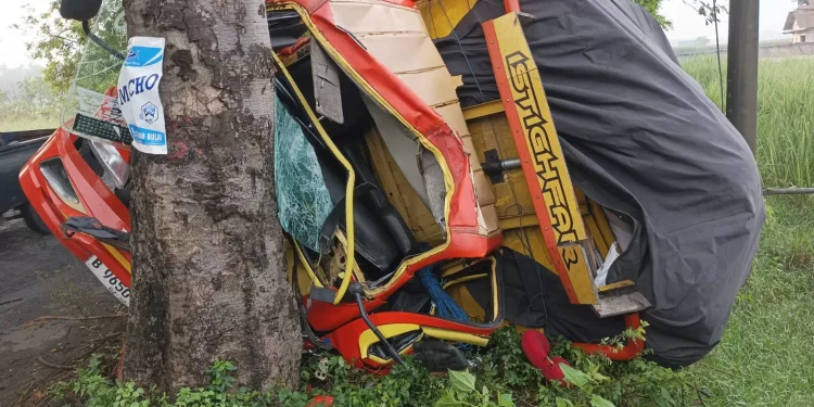 Kecelakaan Tunggal di Jombang: Truk Tabrak Pohon hingga Ringsek, Sopir dan Kernet Luka-luka