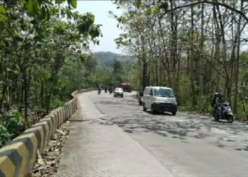 Pemotor Tewas Jatuh ke Jurang Sigar Bencah Semarang, Diduga Kurang Konsentrasi