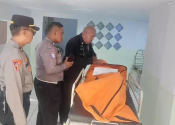 Kecelakaan Maut Truk Tabrak Truk di Tol Japek KM 68.800 Arah Jakarta: Satu Pengemudi Tewas