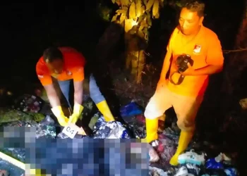 Tragedi Keluarga: Pelaku Pembunuhan dan Pembakaran Mayat Nenek di Jombang Ternyata Keponakan Sendiri