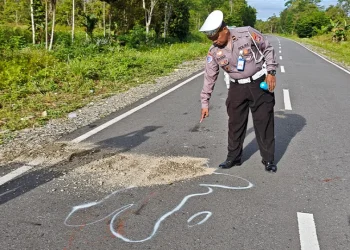 Kecelakaan Maut di Mimika: Penumpang Motor Tewas Ditabrak Mobil yang Melarikan Diri