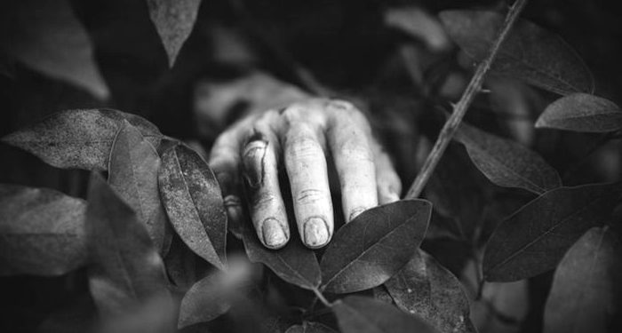 Pria Pengangguran Didakwa Bunuh Lansia di Kampung Koh, Sekaligus Terjerat Kasus Narkoba